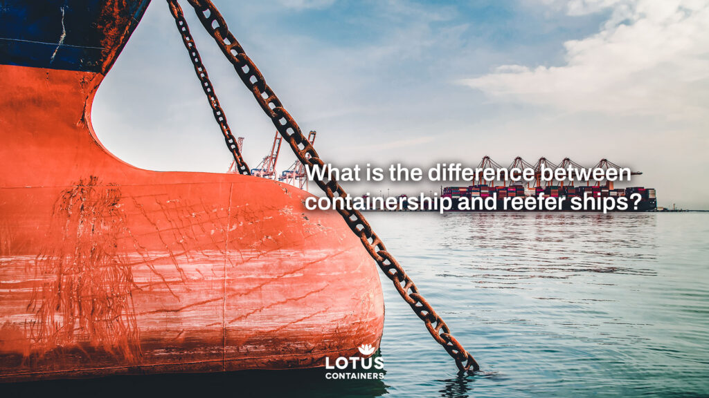 Difference between containerships and reefer ships